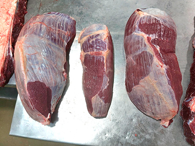 Woodleigh Genetics Produce the Goods